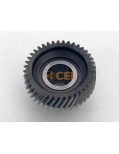 Pinon Constante - Cei 146 872