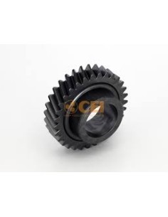 Engranaje Constante 31 Dientes - Cei 146 383