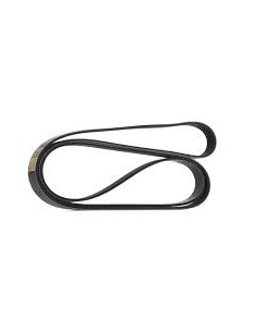 Correa 8pk1939 / 8pk1940 Axor