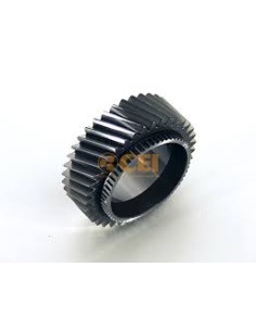 Pinon Constante 37d - Cei 244 355