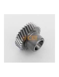 Engranaje Constante 31d - Cei 146 499