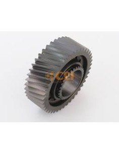 Engranaje 1ra 41d G281 - Cei 244 032